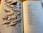 Hue & Etchecopar - Les Oiseaux du Proche et du Moyen Orient - (Vogels van het Middden-Oosten)
