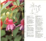 Nijhuis, Miep .. Tekeningen Aat van Wijk - Fuchsia's: van Stek tot stam  .. Kweek en verzorging door de beginner