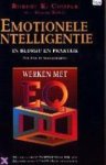 Robert K. Cooper - Emotionele intelligentie in bedrijf en praktijk Intuïtie in management