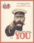 James Taylor 16734 - Your Country Needs You The secret history of the propaganda poster