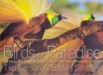 Laman, Tim en Edwin Scholes - Birds of Paradise