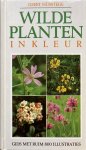Geert Husstege - Wilde planten in kleur