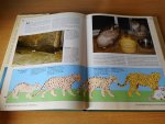 Schneck, Marcus & Jill Caravan - De Katencyclopedie. Maak dat de kat wijs!