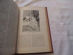 Stahl P.J. - MAPES DODGE - Alcott. Hetzel ++++ Gil Blas - Guzman d'Alfarache - Les Patins D'Argent, Histoire D'Une Famille Hollandaise Et D'Une Bande D'Ecoliers - Americaine - les Quatre Peurs de Notre General . Collection Hetzel. ++++  Oeuvres de Le Sage - Guzman d'Alfarache - Théatre. ---- Histoire de Gil Blas de Santillane.