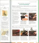 Greenwood, Pippa  ..  Vertaling: Toby Visser, Hans van Cuijlenborg en H. Honders - Thuis in huis, Tuinen. Meer dan 1000 ideeen en suggesties voor de tuin