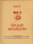 Stoppelaar, R.J. de - Herfst, een jaar natuurleven