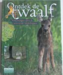 Buissink Frans, Fey Toon, Kingma Symen, Kusiak Loek, Polen Bert van, - Ontdek de twaalf Verkenningen door de provinciale landschappen