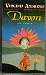 Andrews - Dawn het geheim / druk 1