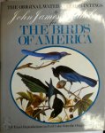 John James Audubon 214443 - The original watercolor paintings by John James Audubon for the birds of America