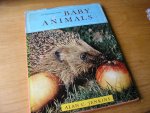 Jenkins, Alan - Introducing Baby Animals (with many black&white foto`s)