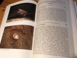 Rowlands, Beau W ea - The Birds of St Helena - BOU-checklist 16