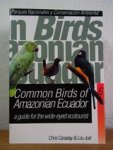 Chris Canaday&, Lou Jost - Common birds of Amazonian Ecuador; a guide for the wide-eyed ecotourist