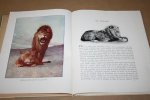 Christine Doorman en Beata - Uit het warme Zonneland