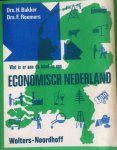 Bakker, H. / Roemers, F. - Wat is er aan de hand in ons Economisch Nederland