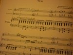 Schubert; Franz (1797–1828) - Trio in Bb major; Op. 99; for piano, violin en violoncello (Edited by Joseph Adamowski)