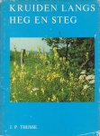 Thijsse, Dr. Jac.P. (ill.: Maria B. Selhorst) - Kruiden langs heg en steg