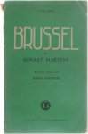 Renaat Martens - Brussel