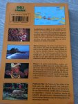 Schepers, M. / Sarneel, M. - Bali Lombok / een actuele reisgids met 147 kleurenfoto s en 17 detailkaarten