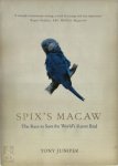 Tony Juniper 41258 - Spix's Macaw