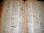 Larive; Fleury - Petit Larive, Fleury. Dictionnaire Francais Encyclopedique a l`usage des Adultes et des Gens du Monde