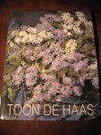  - Toon de Haas. Schilder.
