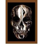 Andrew Bolton - Alexander McQueen Savage Beauty