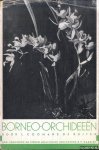 Coomans de Ruiter, L. - Borneo-orchideeën