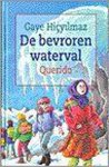 G. Hicyilmaz - De bevroren waterval