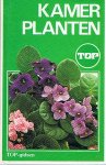 Stevenson, Violet - Kamerplanten