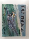 Dann, Richard S.: - F4F Wildcat in Action