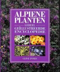 Innes, Meindert de Jong - Alpiene planten - Geheel geïllustreerde encyclopedie