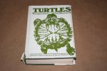 Harless & Morlock - Turtles  -- Perspectives and Research
