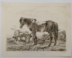 MOCK, J., - Horse with plough