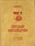 STOPPELAAR, R.J. DE / STRIJBOS, JAN P / WIGMAN, A.B - Een jaar natuurleven. Herfst