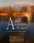 F. Buissink - ACKERDIJKSE PLASSEN VOGELOASE IN RANDSTA