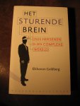 Goldberg, E. - Het sturende brein.
