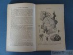 Jumelle, Henri. - Les cultures coloniales. Plantes à latex et à résines. Arbres et Lianes à caoutchouc, Hevea, Manihot, Ficus, Castilloa, Funtumia, Arbres à gutta-percha, Arbres à laque. Jumelle, Henri. - Les cultures coloniales. Plantes à latex et à résines. Arbres et Lianes à caoutchouc, Hevea, Manihot, Ficus, Castilloa, Funtumia, Arbres à gutta-percha, Arbres à laque.