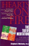Stephen H. Wolinsky - Hearts on Fire The Tao of Meditation