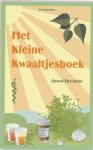J. Drenthe - KLEINE KWAALTJES BOEK