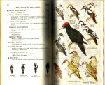  - VOGELGIDS, standaardwerk  - Mr. J. Kist (PETERSON)