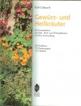 Callauch Rolf   122 Farbfotos und  29 Zeichnungen  und 16 Tabellen - Gewürz- und Heilkräuter  .. Kennen en Plegen  Duft Heil und Wurzpflanzen