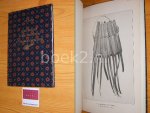 Loeber jr., J.A. - Het bladwerk en zijn versiering in Nederlandsch-Indie Geillustreerde beschrijvingen van Indische Kunstnijverheid, No IV