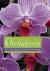 Pinske, Jorn - Orchideeen / het handboek voor de liefhebber