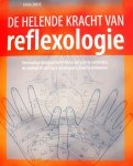 Ducie, Sonia vertaald door Nynke Goïnga - De helende kracht van reflexologie / Eenvoudige drukpunttechnieken om pijn te verlichten, de vitaliteit te verhogen en om uw gezondheid te verbeteren