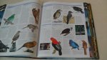 Burnie David - Animal  The Definitive Visual Guide to the World's Wildlife
