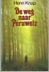 Henri Knap - De weg naar Péruwelz