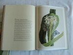Coats, Alice - Kaiserkron und Tulipan die Schönheit von Blumen und Blüten. Tafeln aus Pflanzenbüchern des 16. bis 19. Jahrhunderts