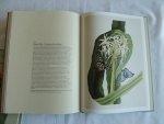 Coats, Alice - Kaiserkron und Tulipan die Schönheit von Blumen und Blüten. Tafeln aus Pflanzenbüchern des 16. bis 19. Jahrhunderts