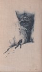 Schnitzler, Arthur - Flucht in die Finsternis