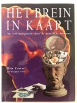 Rita Carter - Brein in kaart, Het